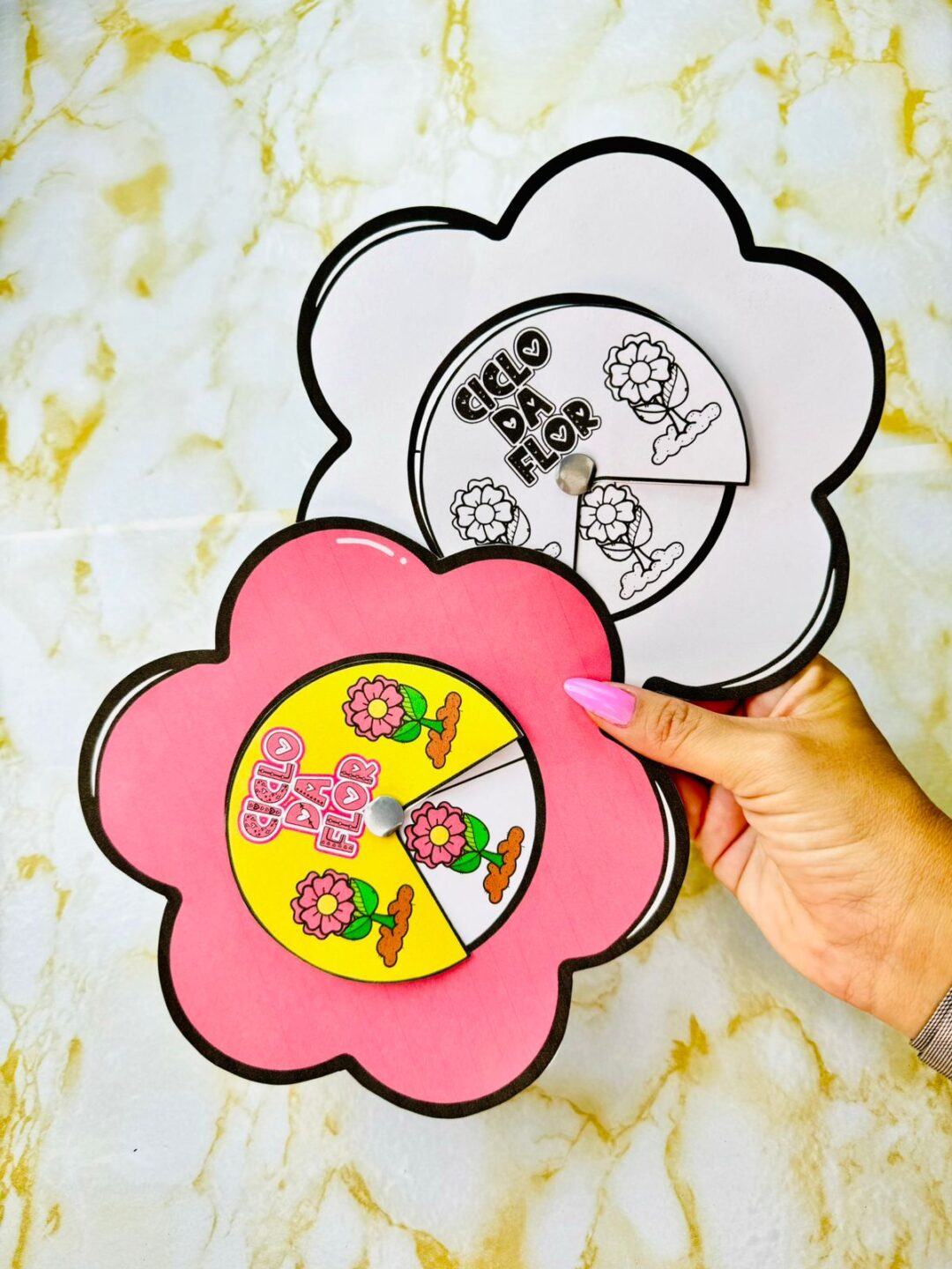 Ciclo da flor Primavera