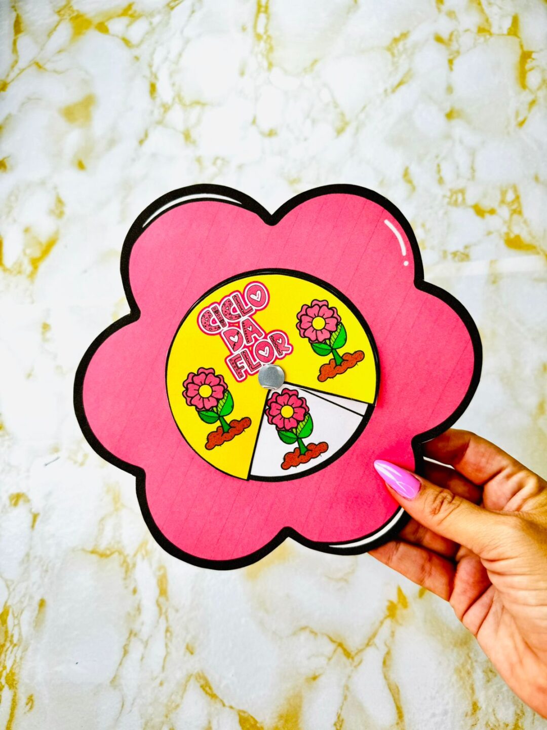 Ciclo da flor Primavera - Imagem 2