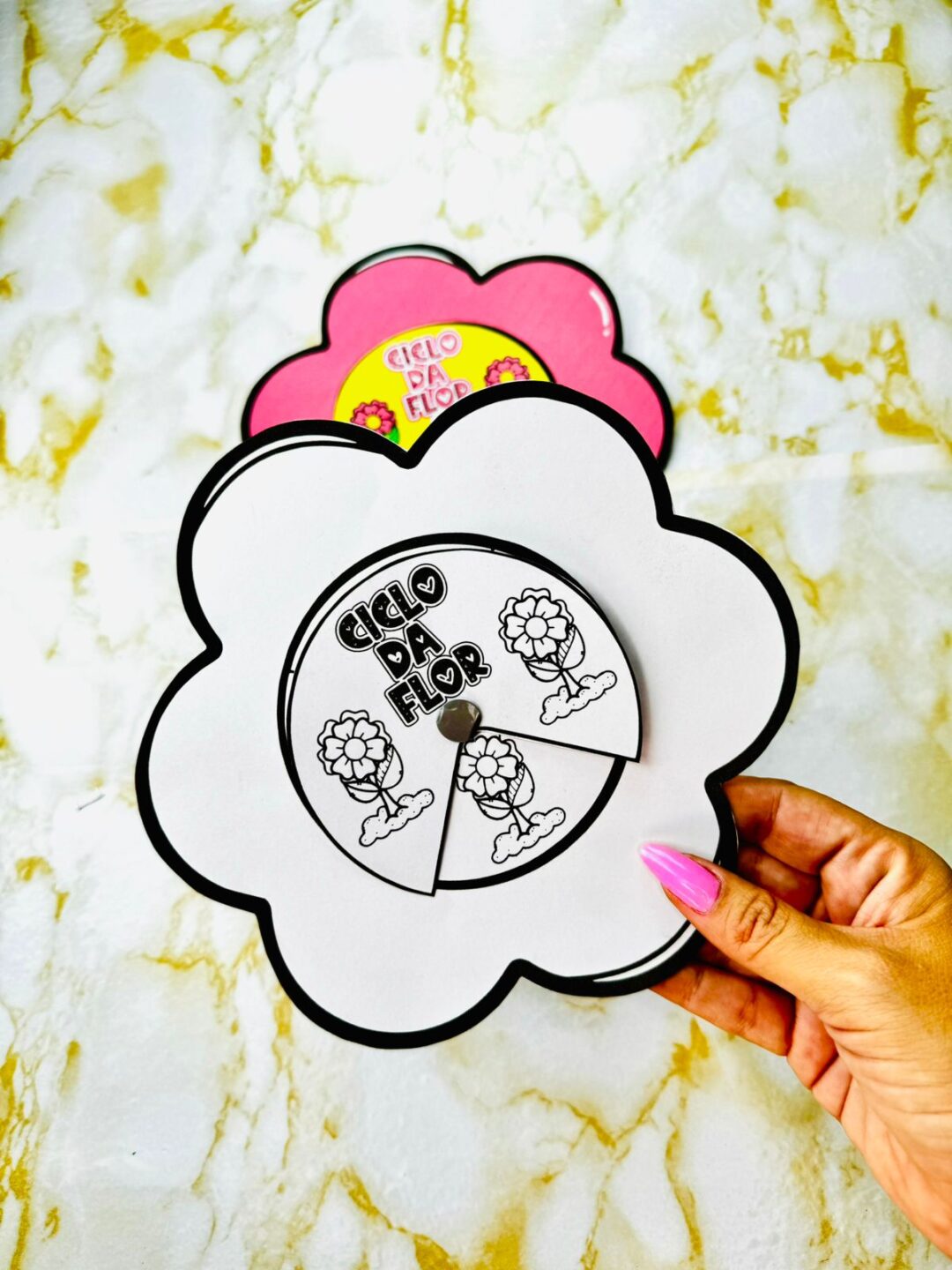 Ciclo da flor Primavera - Imagem 3