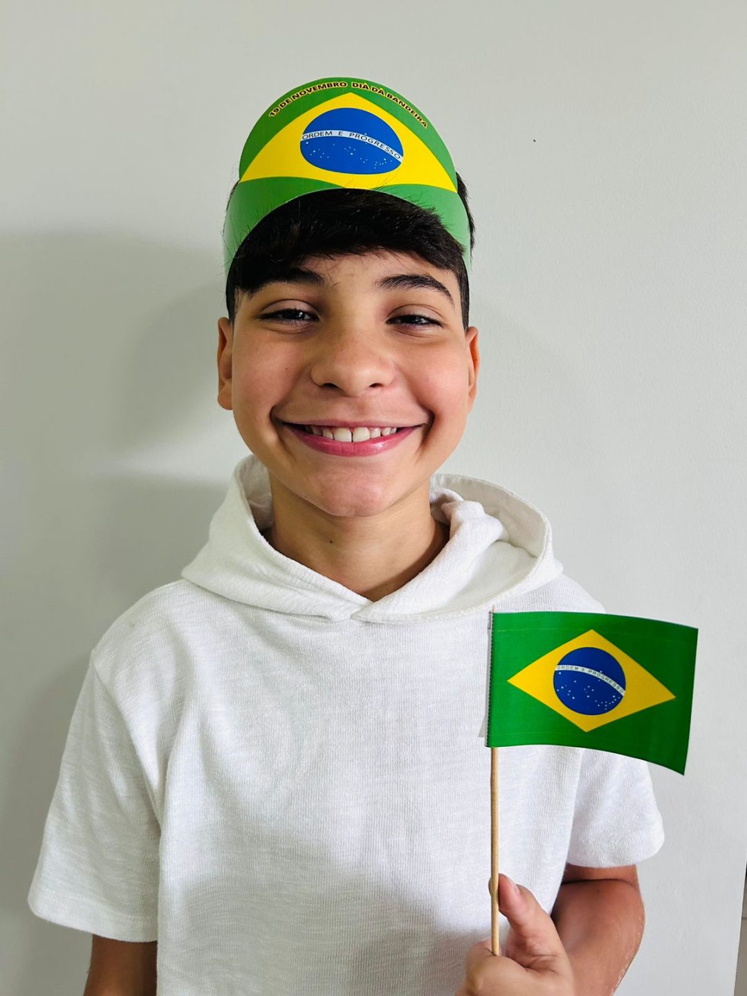 Kit Dia da Bandeira - Imagem 6