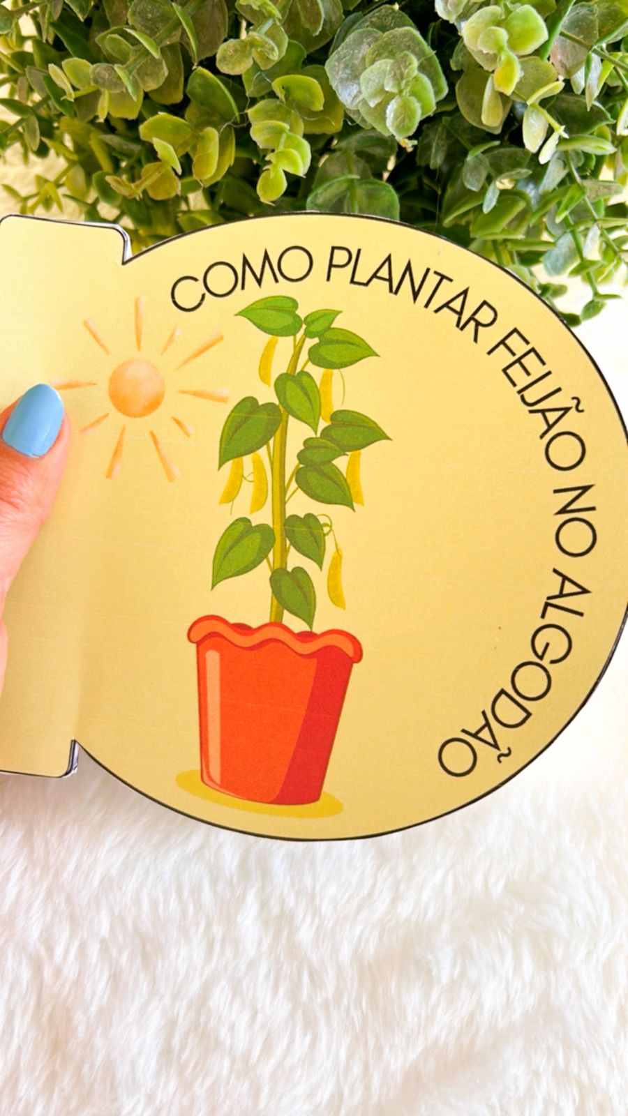 Kit João e o pé de feijão - Imagem 7