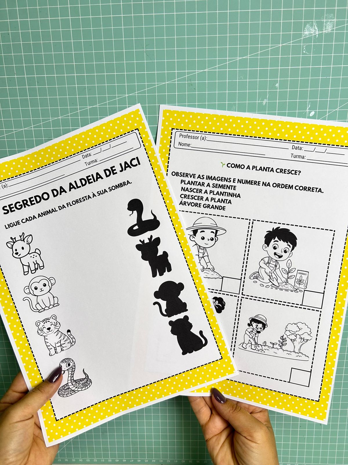 O Segredo de Jaci - Imagem 10