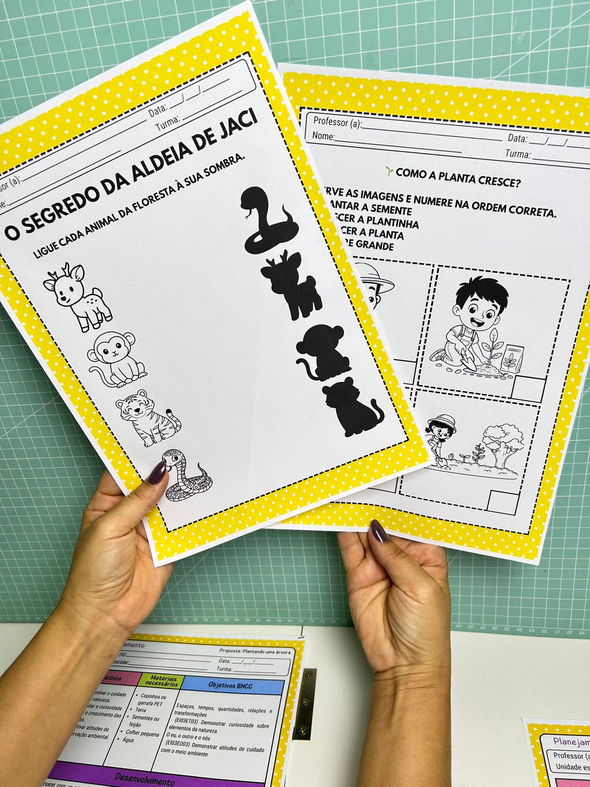 O Segredo de Jaci - Imagem 9