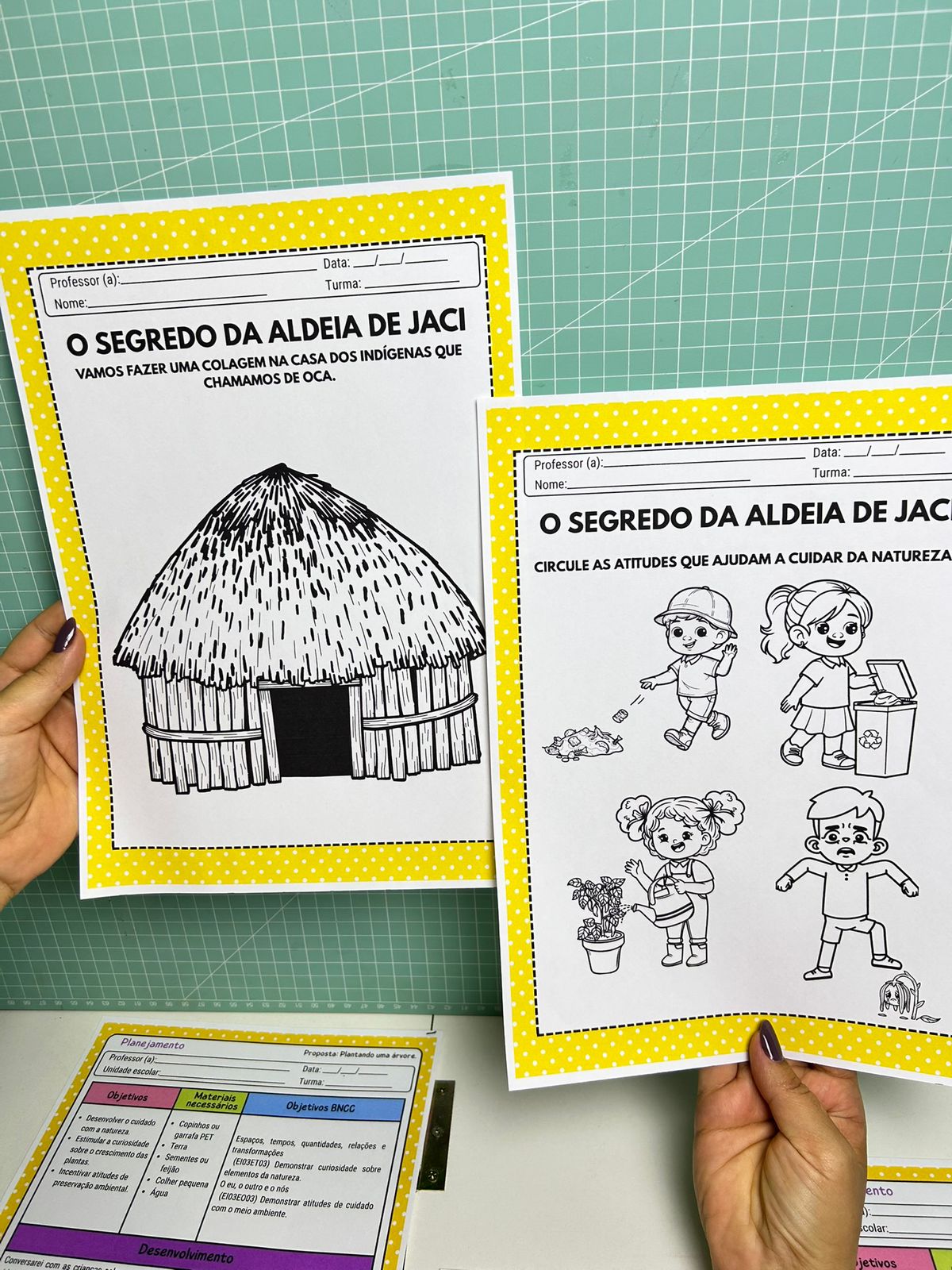 O Segredo de Jaci - Imagem 8