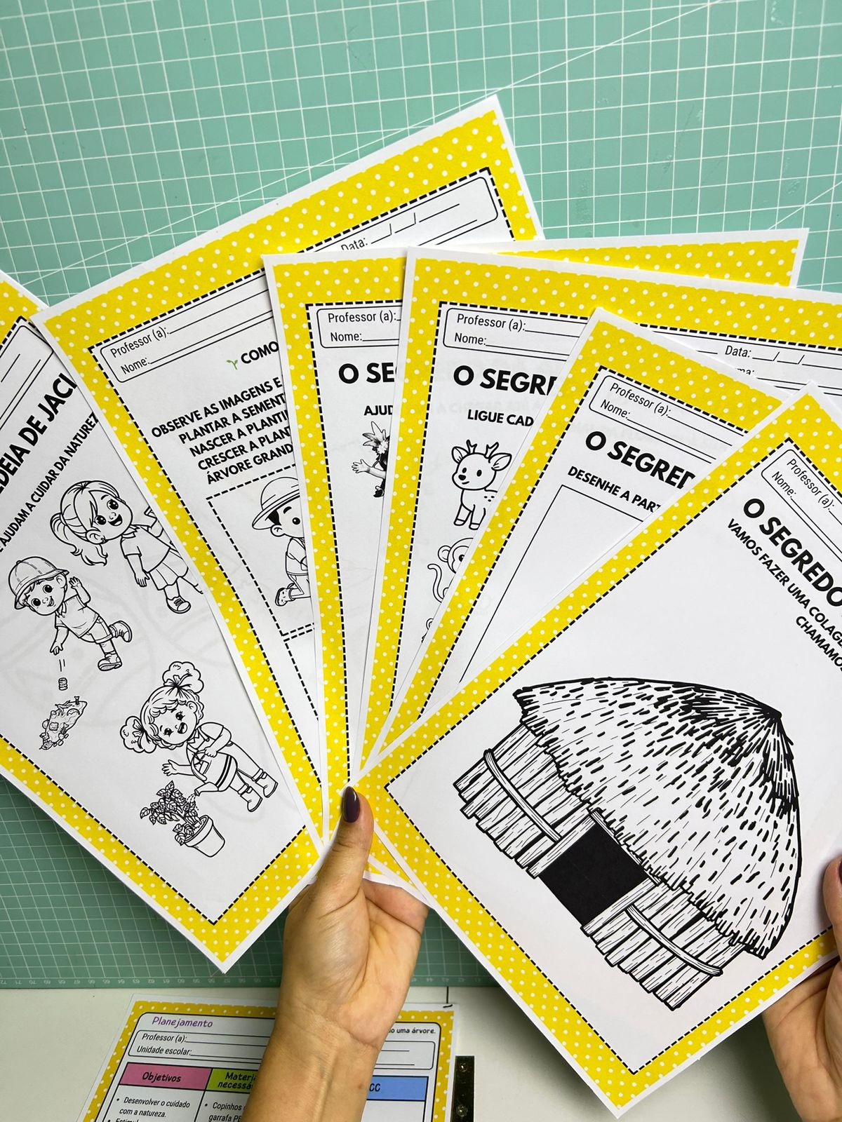 O Segredo de Jaci - Imagem 6