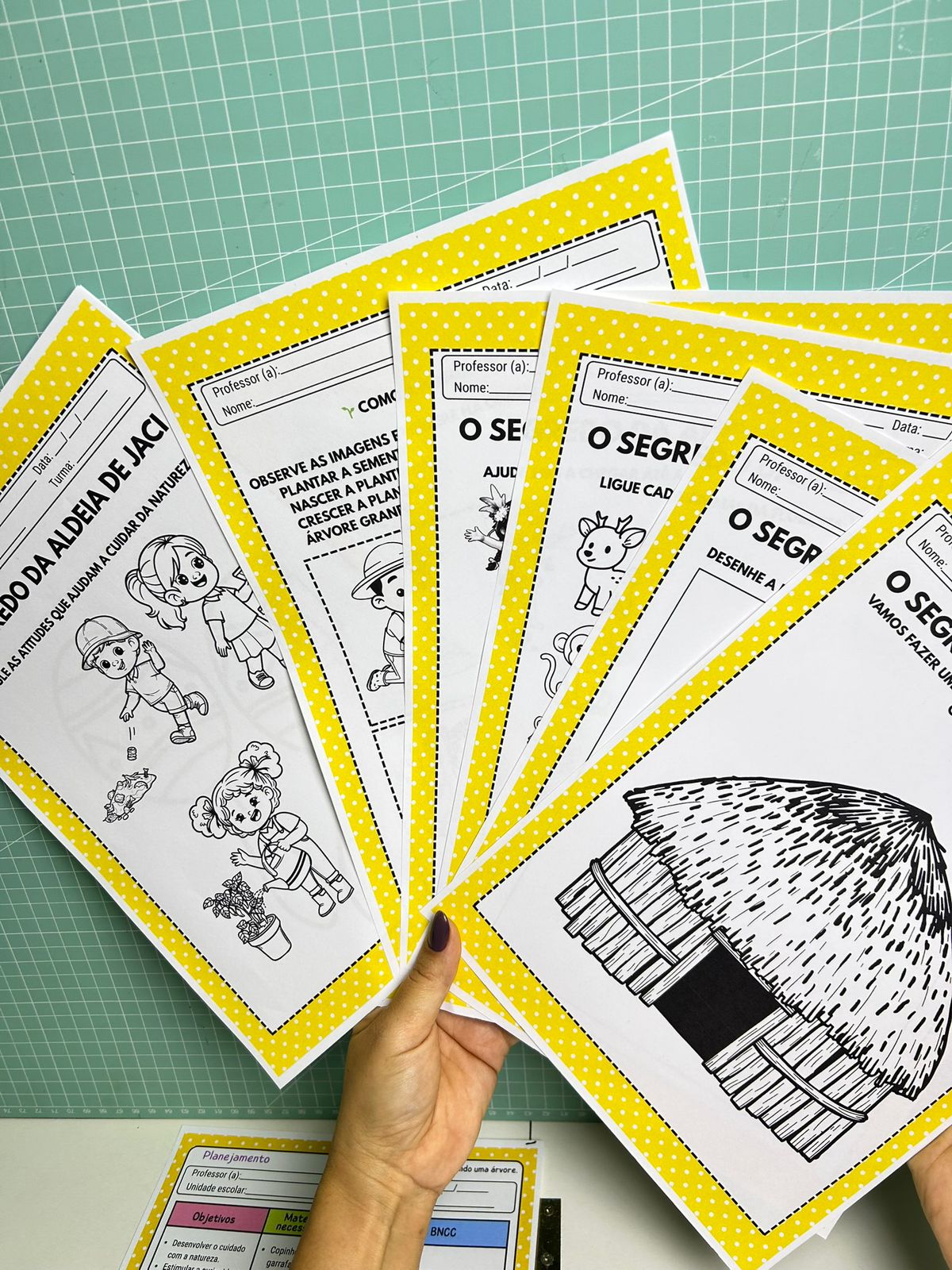 O Segredo de Jaci - Imagem 5